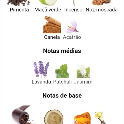 Notas olfativas divididas em topo, médias e base com imagens de ingredientes.