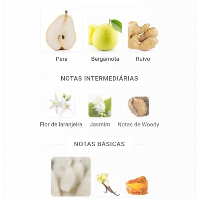 Notas principais, intermediárias e básicas com imagens de frutas, flores e óleos para fragrância