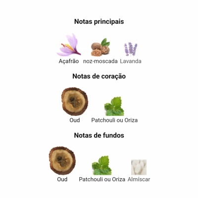 Infográfico com notas principais, de coração e de fundos de perfume em português.