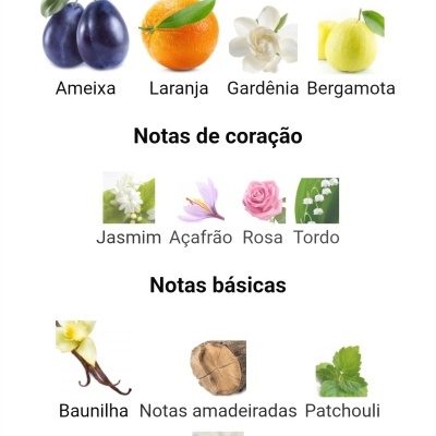 Notas aromáticas divididas em topográficas, de coração e básicas com imagens de frutas e flores.