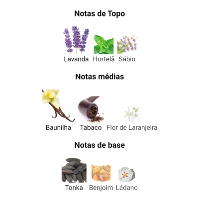 Notas olfativas de perfume com imagens de plantas e ingredientes