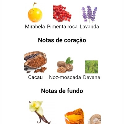 Notas aromáticas principais, de coração e de fundo com imagens de ingredientes correspondentes