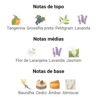 Notas de fragrância divididas em topo, médias e base com texto em português e ilustrações de frutas, flores e aromas