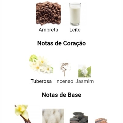 Notas olfativas com imagens de ingredientes associados para perfume ou fragrância