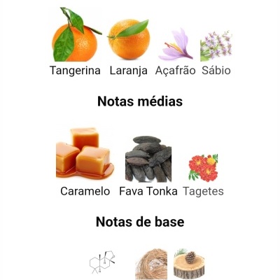 Notas de topo Tangerina, Laranja, Açafrão, Sábio; notas médias Caramelo, Fava Tonka, Tagetes; notas de base Ambroxan, Vetiver, Cedro.