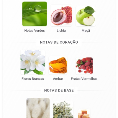 Notas olfativas de perfume divididas em Topo, Coração e Base com imagens de ingredientes correspondentes.