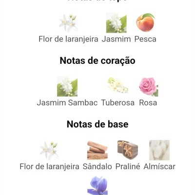 Notas de fragrância divididas em topo, coração e base com imagens de flores e elementos aromáticos