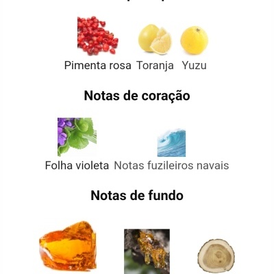 Notas principais, de coração e de fundo de uma fragrância com imagens e texto em português.