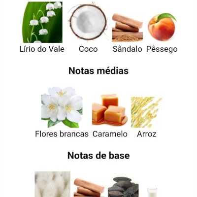 Notas olfativas do perfume divididas em notas de topo, médias e base com imagens de ingredientes correspondentes