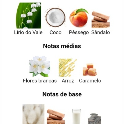 Notas olfativas divididas em topo, médias e base com várias imagens de ingredientes naturais e texto em português.
