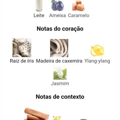 Infografia das notas olfativas Leite, Ameixa, Caramelo, Raiz de íris, Madeira de caxemira, Ylang-ylang, Jasmim, Sândalo, Baunilha, fava tonka