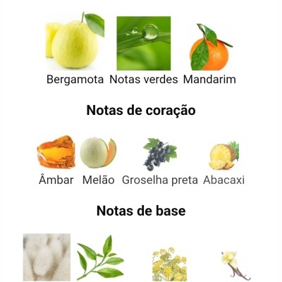 Notas olfativas organizadas em topo, coração e base com frutas e plantas.