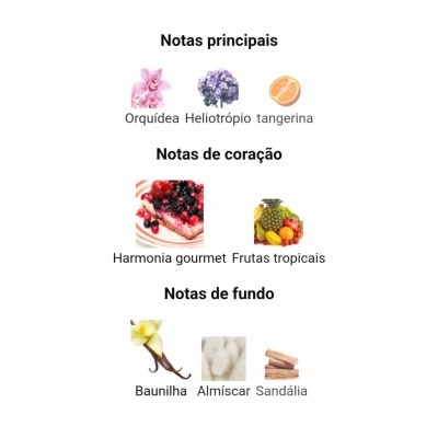 Descrição das notas de fragrância com imagens pequenas e texto em português