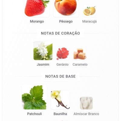Notas de topo, coração e base de um perfume com imagens de ingredientes naturais