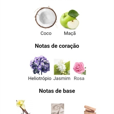Notas olfativas do perfume divididas em notas de topo, coração e base com imagens representativas