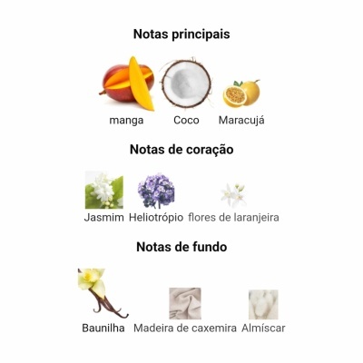 Notas olfativas principais, coração e fundo descritas com imagens e texto em português.