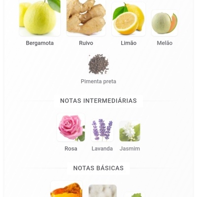 Notas principais, intermédias e básicas de fragrâncias com imagens de frutas, flores e especiarias
