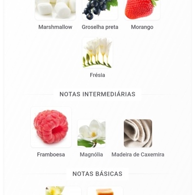 Notas principais, intermediárias e básicas com imagens de ingredientes para perfume em fundo branco.