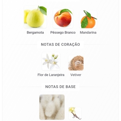 Notas olfativas de bergamota, pêssego branco, mandarina, flor de laranjeira, vetiver, almíscar e baunilha