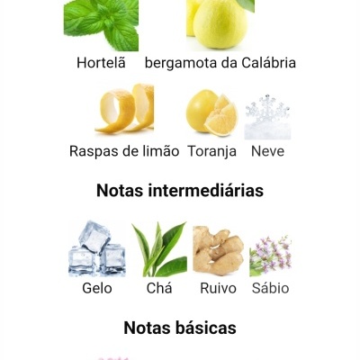 Notas principais, intermédias e básicas de fragrância com imagens de ingredientes