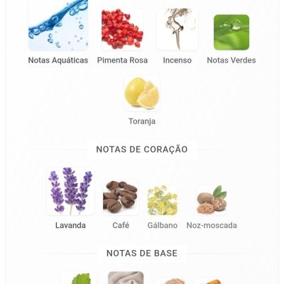 Notas olfativas para fragrância organizadas em categorias visuais distintas