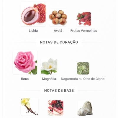 Ingredientes descritos para perfume organizados em notas de topo, coração e base com imagens das matérias-primas.
