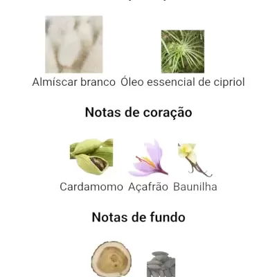 Notas principais, de coração e de fundo de um perfume com imagens de ingredientes naturais