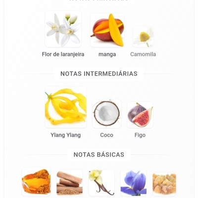 Notas olfativas principais, intermédias e básicas com imagens associadas de flores, frutas e resinas.