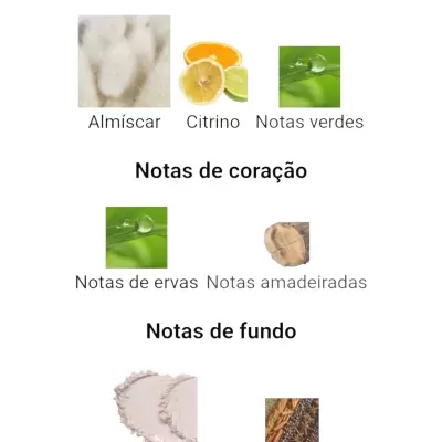 Notas olfativas principais, de coração e de fundo para perfume em português