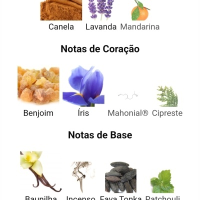 Notas olfativas de perfume com imagens das fragrâncias de topo, coração e base.