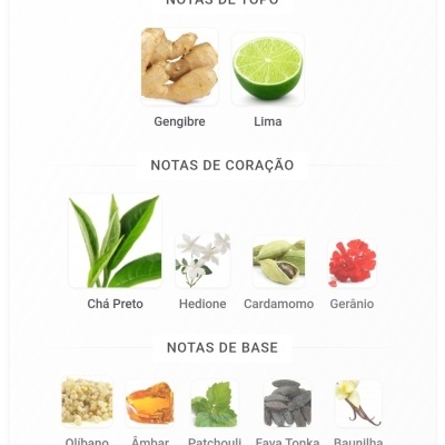 Notas de perfume: topo gengibre e lima, coração chá preto, hedione, cardamomo, gerânio, base olíbano, âmbar, patchouli, fava tonka, baunilha
