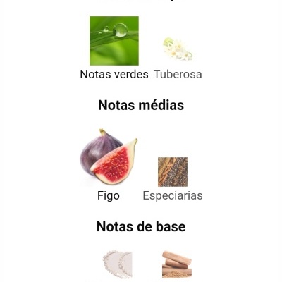 Descrição das notas olfativas com texto e imagens ilustrativas.