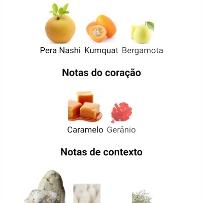 Notas principais, do coração e de contexto de perfume com imagens correspondentes