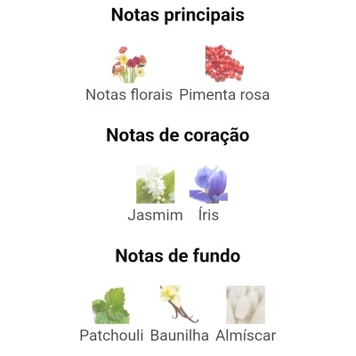 Categorias de notas aromáticas com imagens das flores, especiarias e ingredientes correspondentes