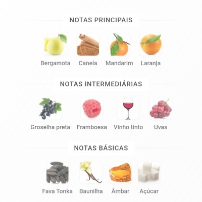 Notas principais, intermediárias e básicas com imagens de frutas, especiarias e doces