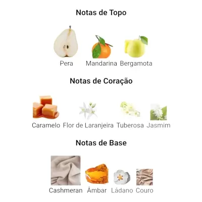 Notas aromáticas divididas em Notas de Topo, Coração e Base com imagens de ingredientes naturais.