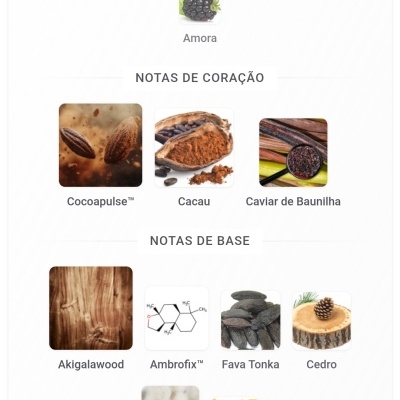 Notas olfativas de perfume com imagens das matérias-primas e texto em português.