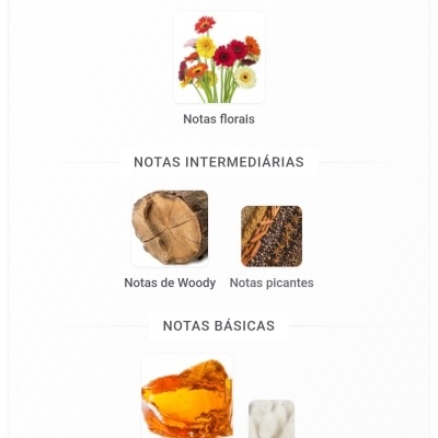 Notas olfativas de perfume divididas em principais, intermédias e básicas com imagens representativas.