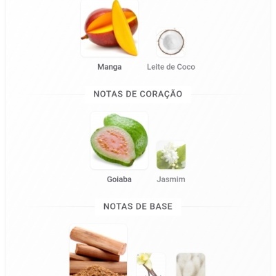 Notas olfativas para perfume com imagens de manga, leite de coco, goiaba, jasmim, sândalo, baunilha e almíscar.
