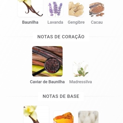 Notas olfativas de perfume com imagens de Baunilha, Lavanda, Gengibre, Cacau, Caviar de Baunilha, Madressilva, Âmbar e Almíscar