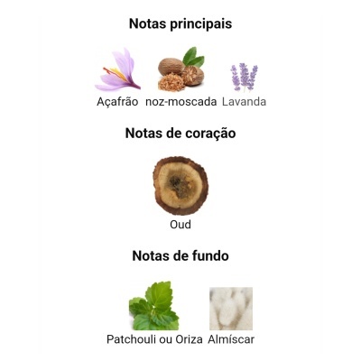 Notas principais, notas de coração e notas de fundo com imagens de ingredientes aromáticos