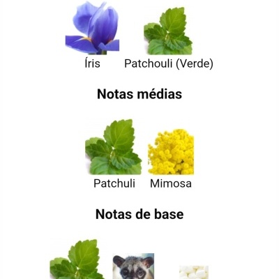 Notas de fragrância apresentadas com imagens de plantas e texto em português.