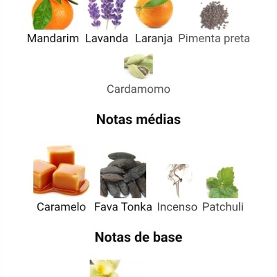Notas olfativas de fragrância com imagens e nomes em português