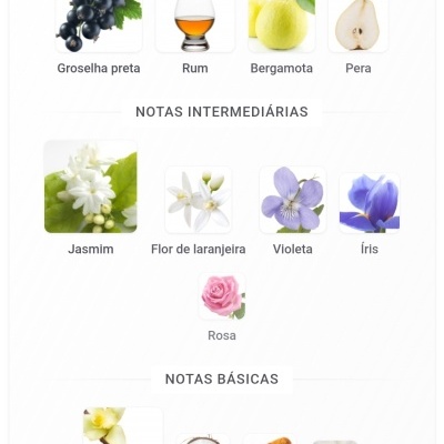 Notas aromáticas principais, intermédias e básicas com imagens de frutos, flores e ingredientes