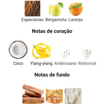 Ingredientes de fragrância organizados em notas principais, de coração e de fundo com imagens correspondentes