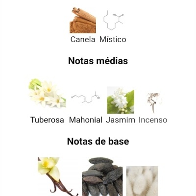 Notas olfativas de perfume divididas em Topo, médias e base com imagens das plantas e substâncias correspondentes.