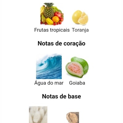 Notas olfativas divididas em topo, coração e base com imagens representativas de frutas tropicais, toranja, água do mar, goiaba, almíscar e notas amadeiradas