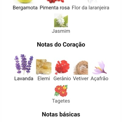Notas olfativas para perfumes com imagens e nomes em português.