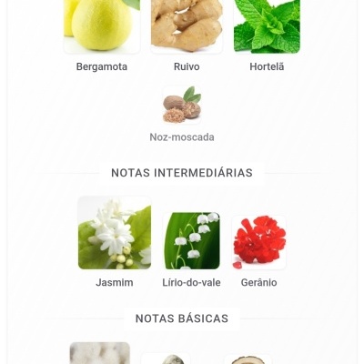 Notas principais, intermediárias e básicas de fragrância com imagens de ingredientes naturais