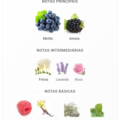 Notas olfativas principais, intermédias e básicas com imagens de mirtilo, amora, frésia, lavanda, rosa, framboesa, baunilha, musgo de carvalho e patchouli